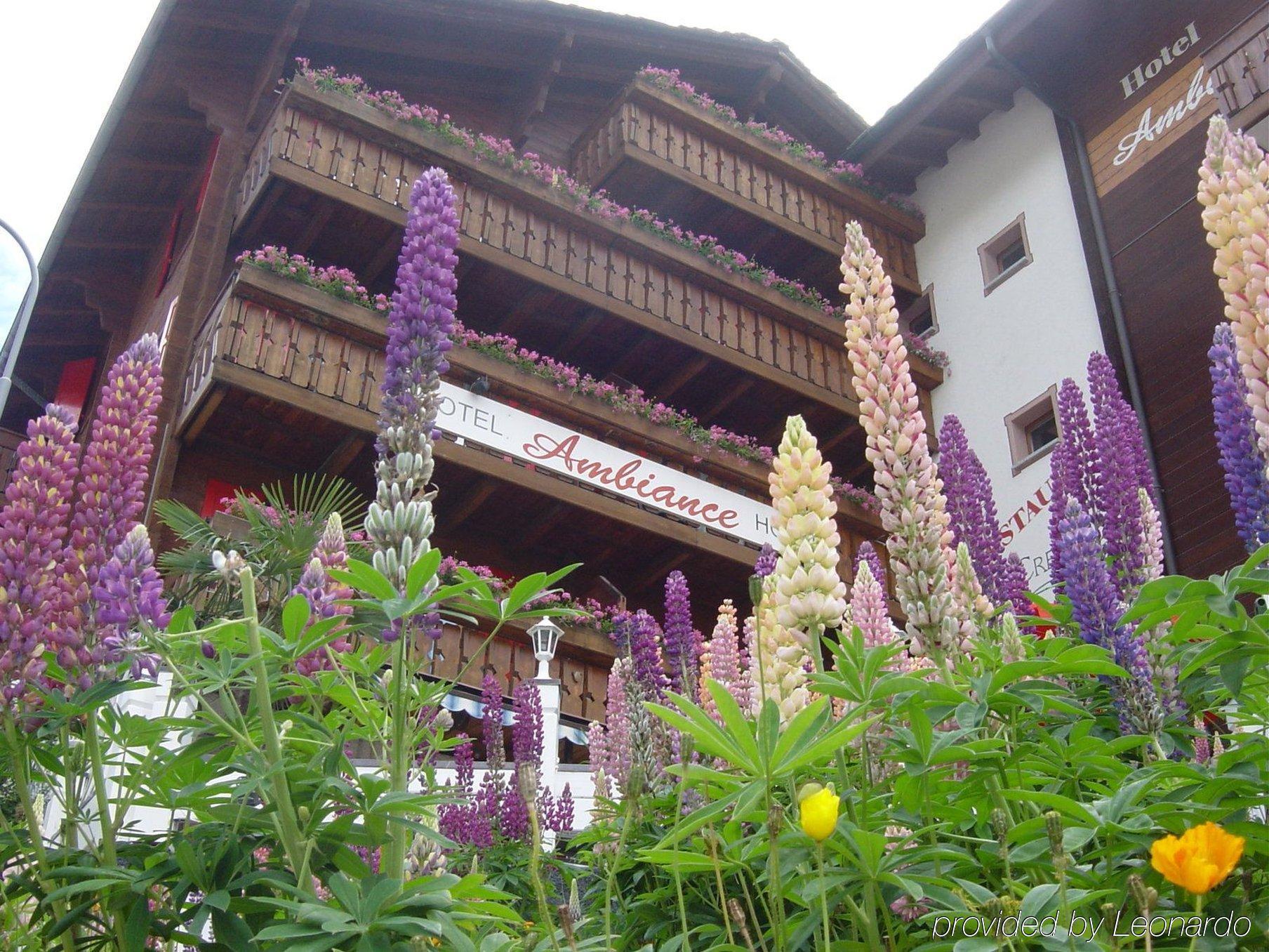 Hotel Ambiance Zermatt Exterior foto